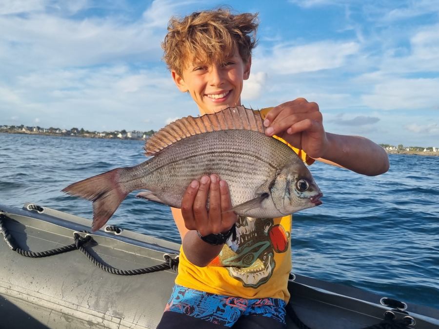 Client sur un bateau avec une énorme dorade grise à l' ile de Ré