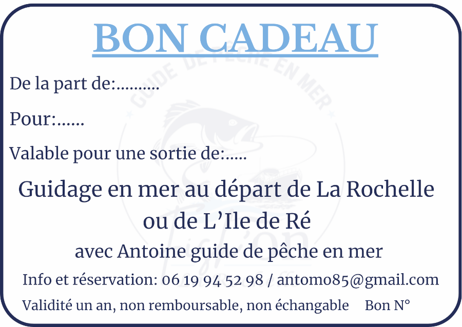 Bon cadeau avec le descriptif de celui ci numéro de téléphone adresse mail 
